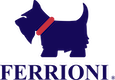 Ferrioni